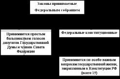 Coursework: Legislative process in the chambers of the Federal Assembly of the Russian Federation